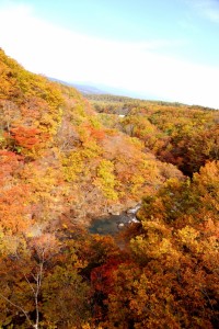 美しい松川渓谷の紅葉